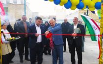 زمین چمن مصنوعی دبستان دکتر حسابی شاهین&zwnj; شهر